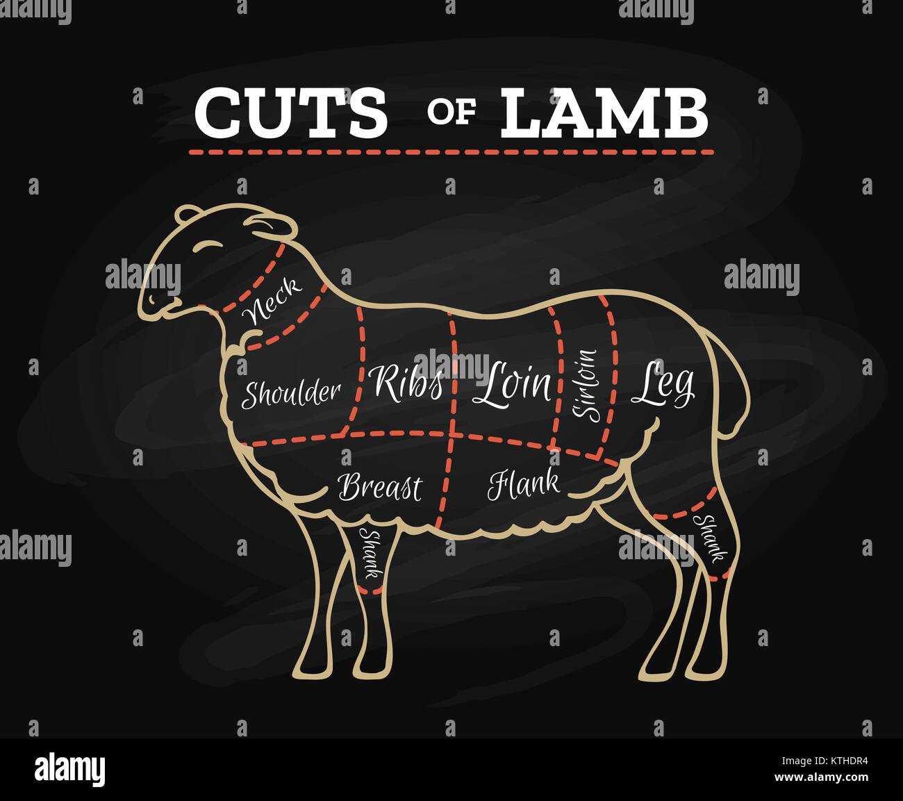 lamb parts diagram