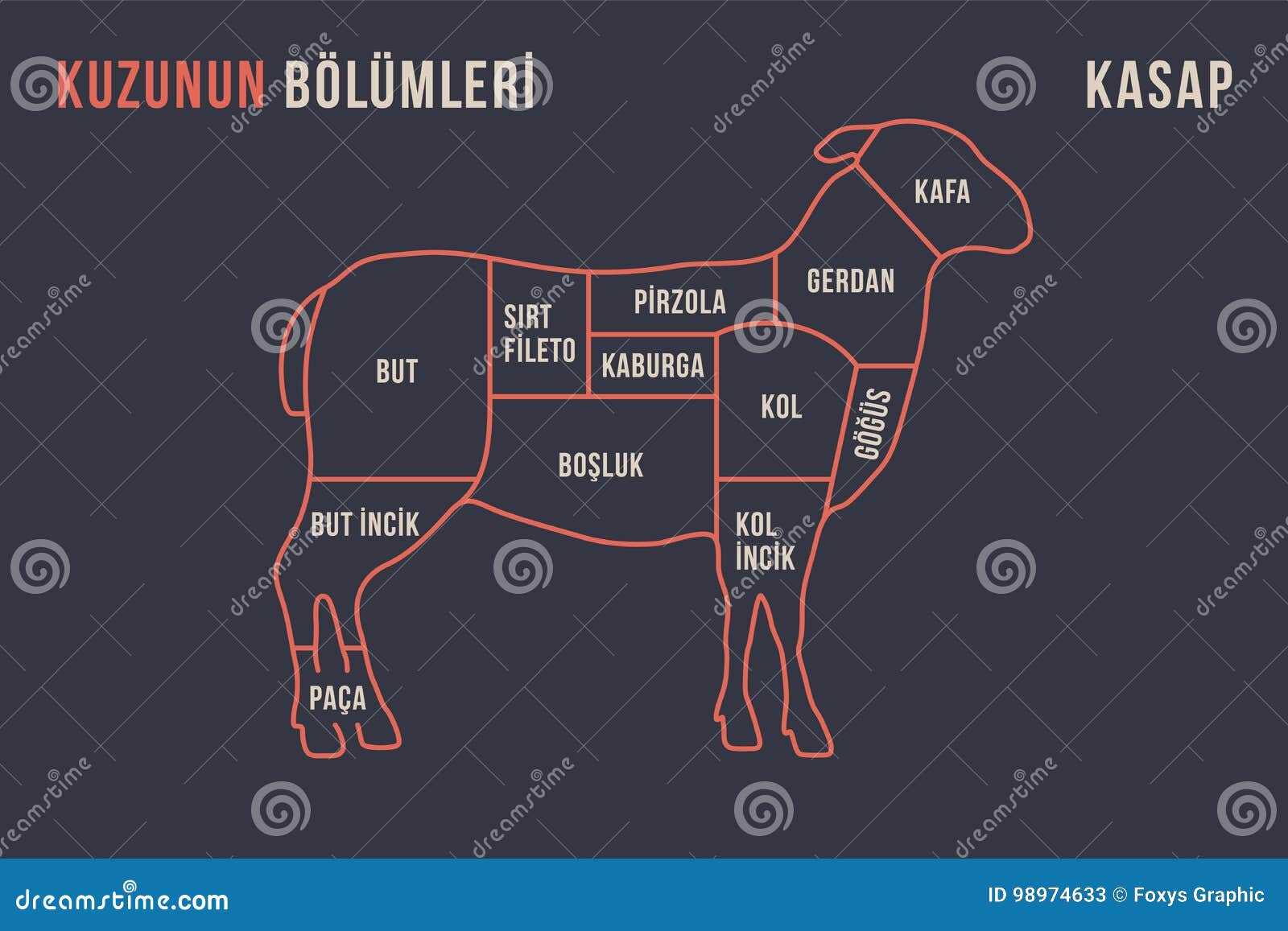 lamb parts diagram