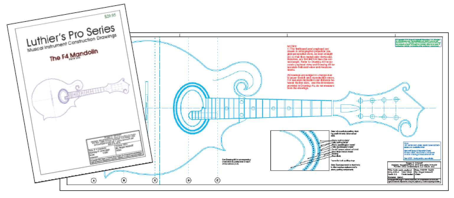 mandolin parts diagram