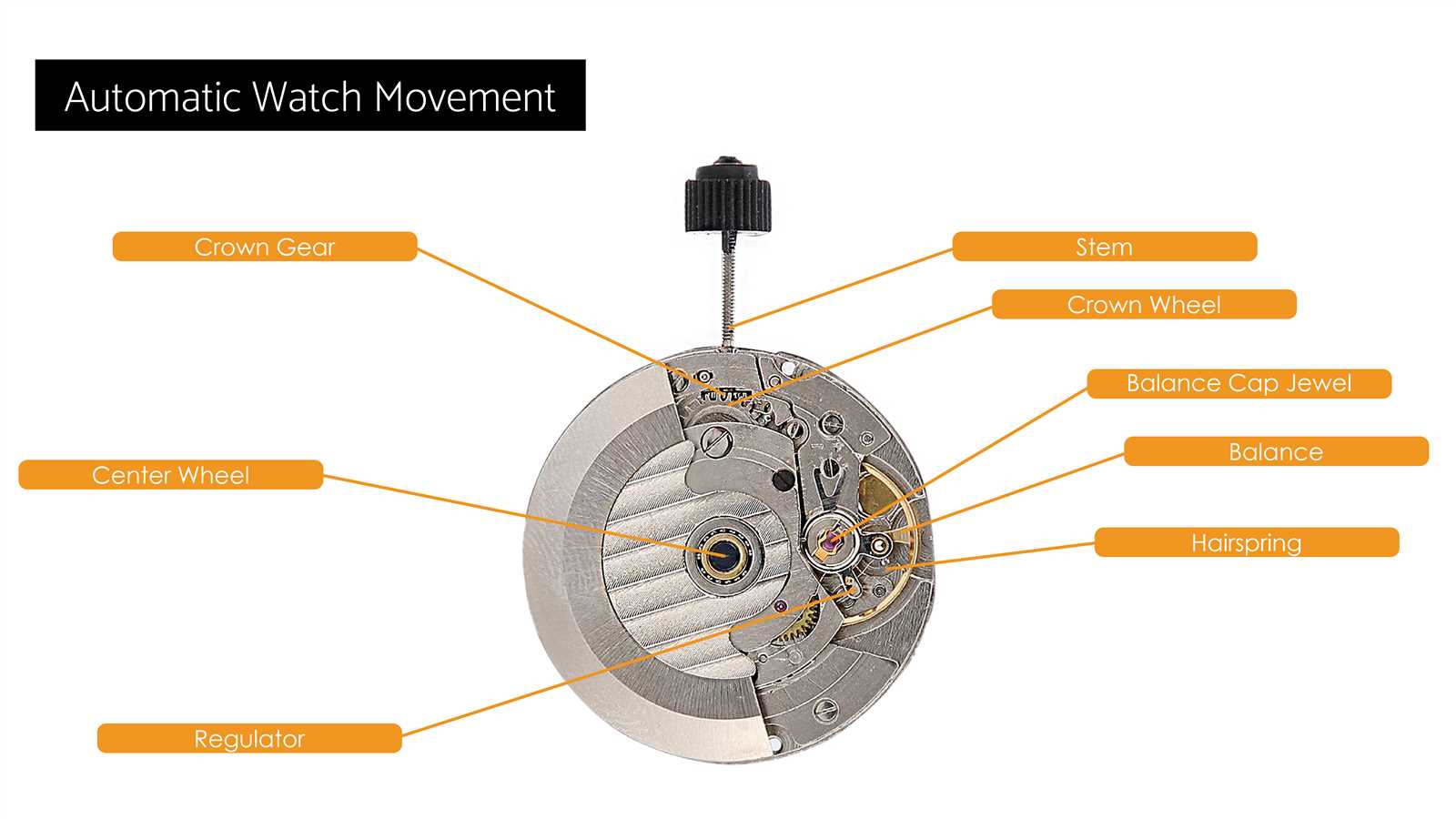 mechanical watch parts diagram