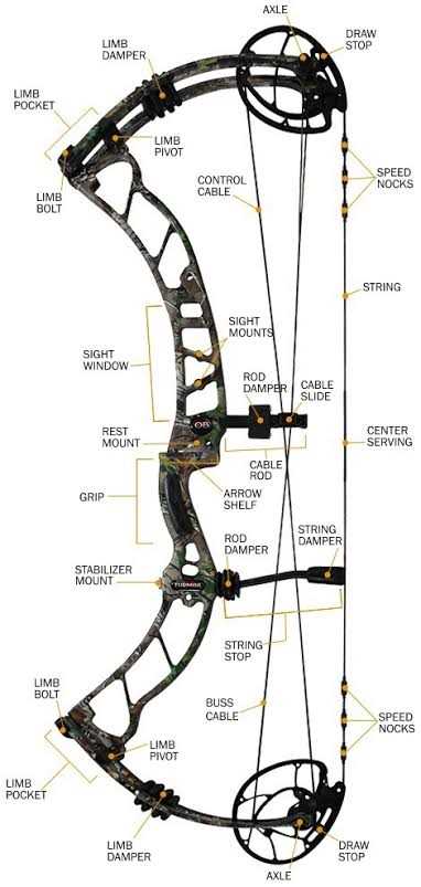 parts of a bow diagram