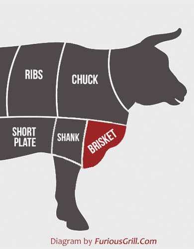 parts of a brisket diagram