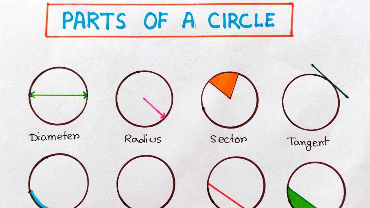 parts of a circle diagram