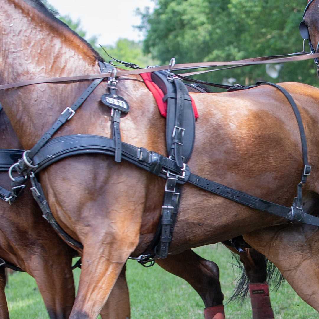 parts of a horse harness diagram