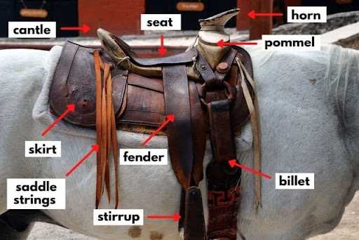 parts of a horse harness diagram