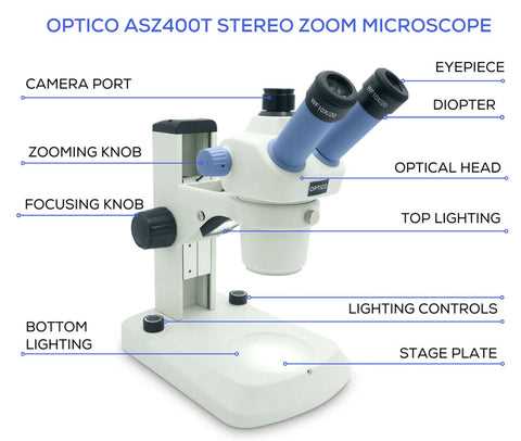 parts of a microscope diagram labeled