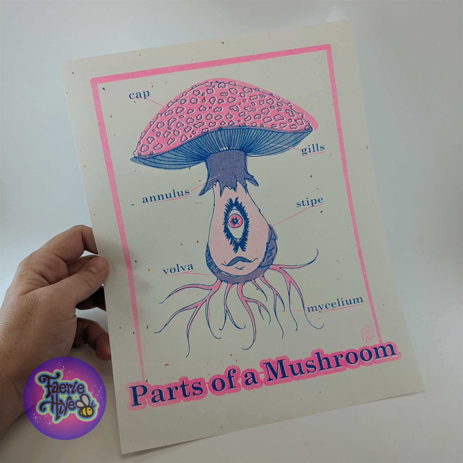 parts of a mushroom diagram