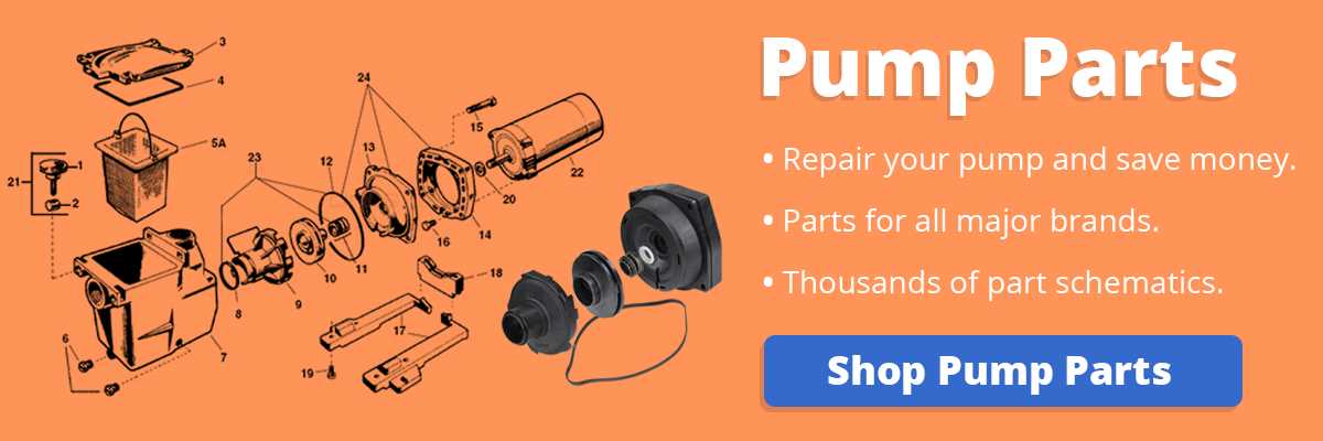 above ground pool pump parts diagram