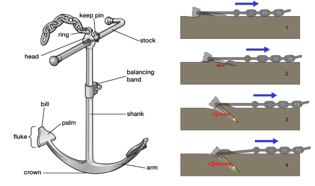 anchor parts diagram