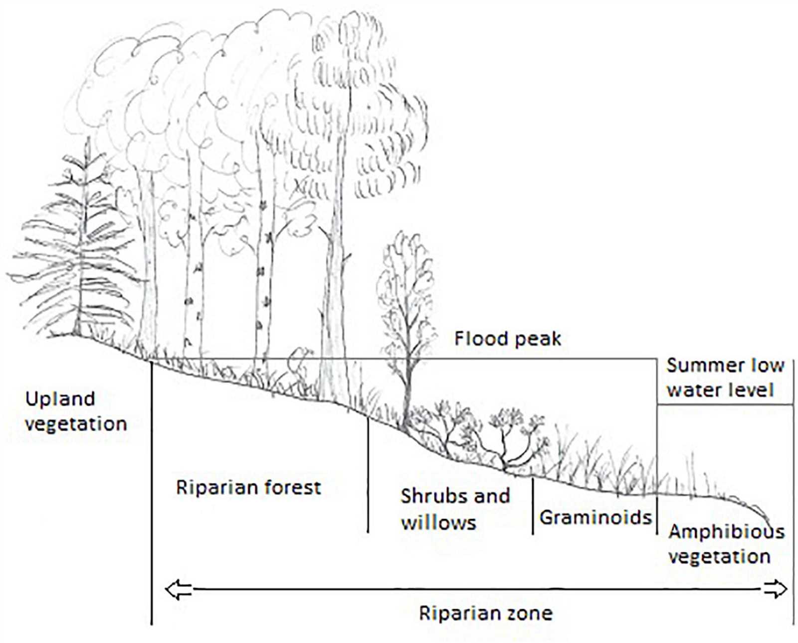 gazelle edge parts diagram