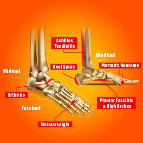 foot parts diagram with names