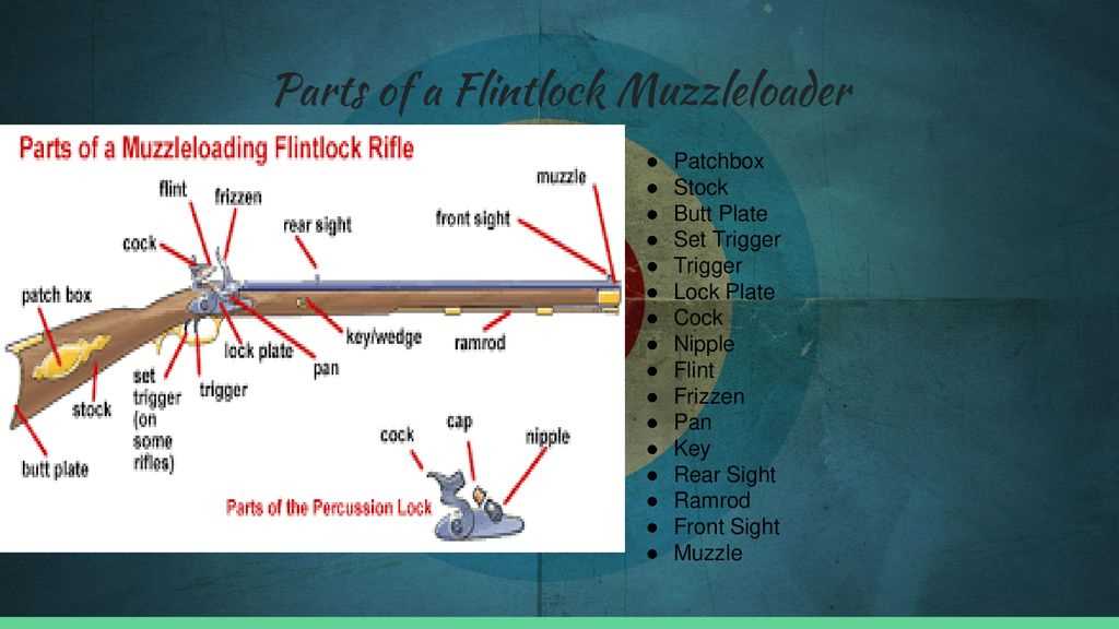 muzzleloader parts diagram