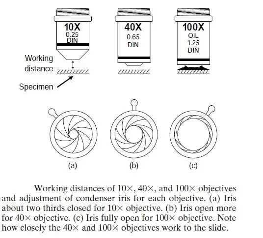 diagram of a microscope and functions of its parts