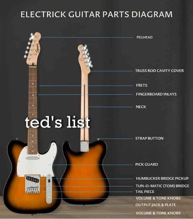 bass guitar parts diagram