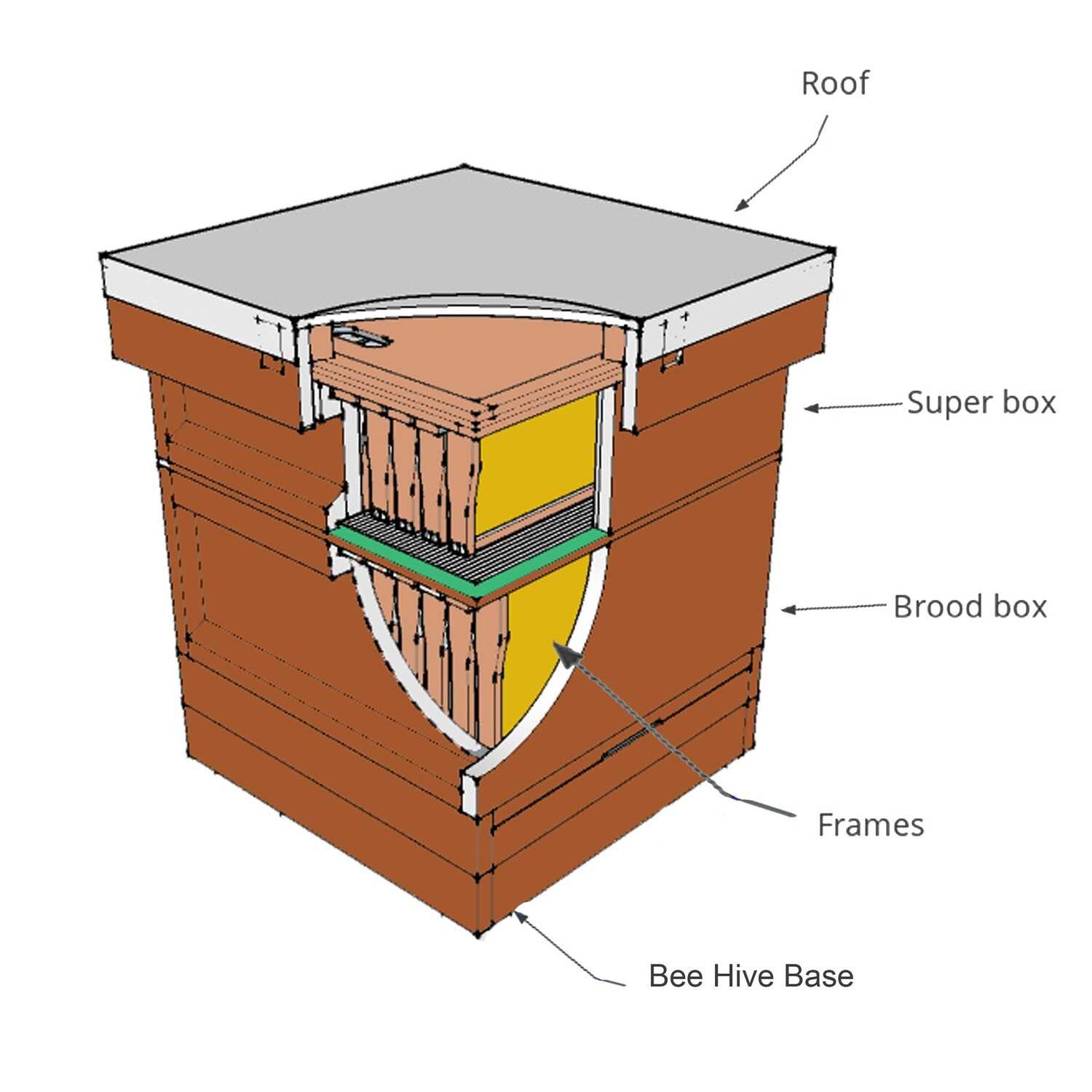 beehive parts diagram