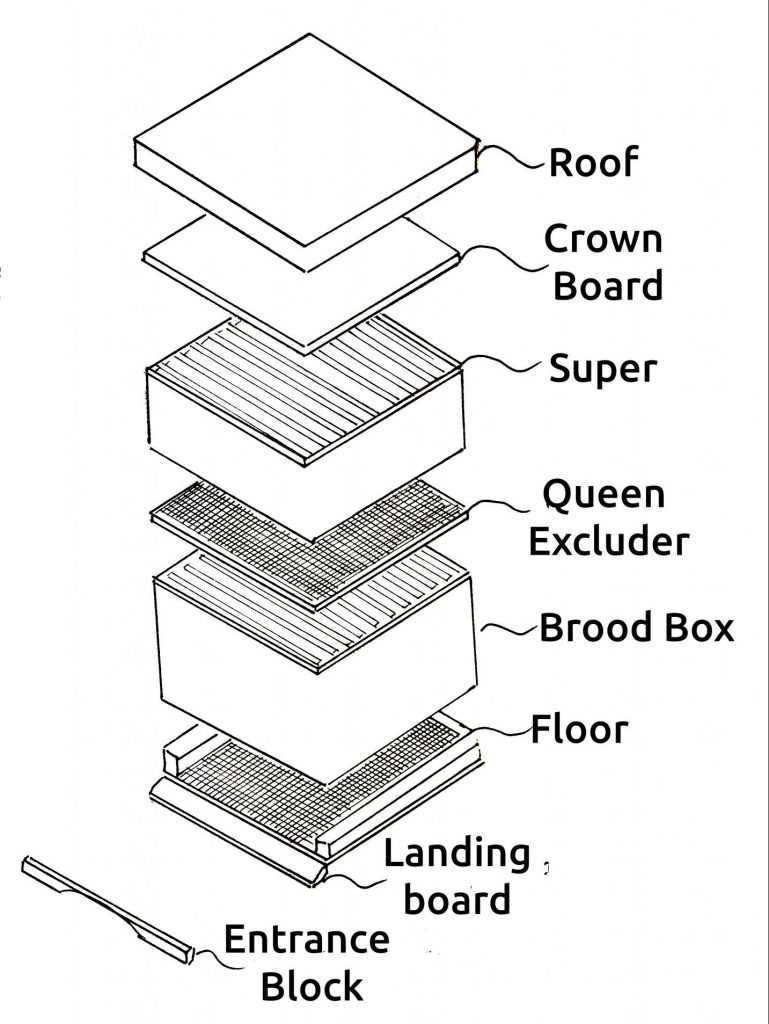 beehive parts diagram