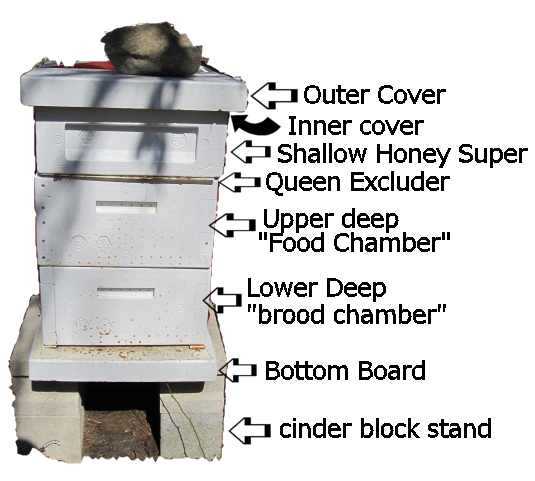 beehive parts diagram