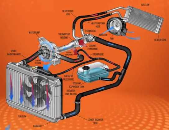 coolant parts diagram