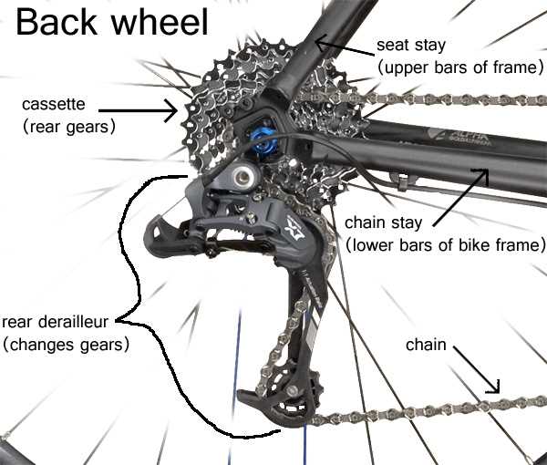 bicycle rear wheel parts diagram