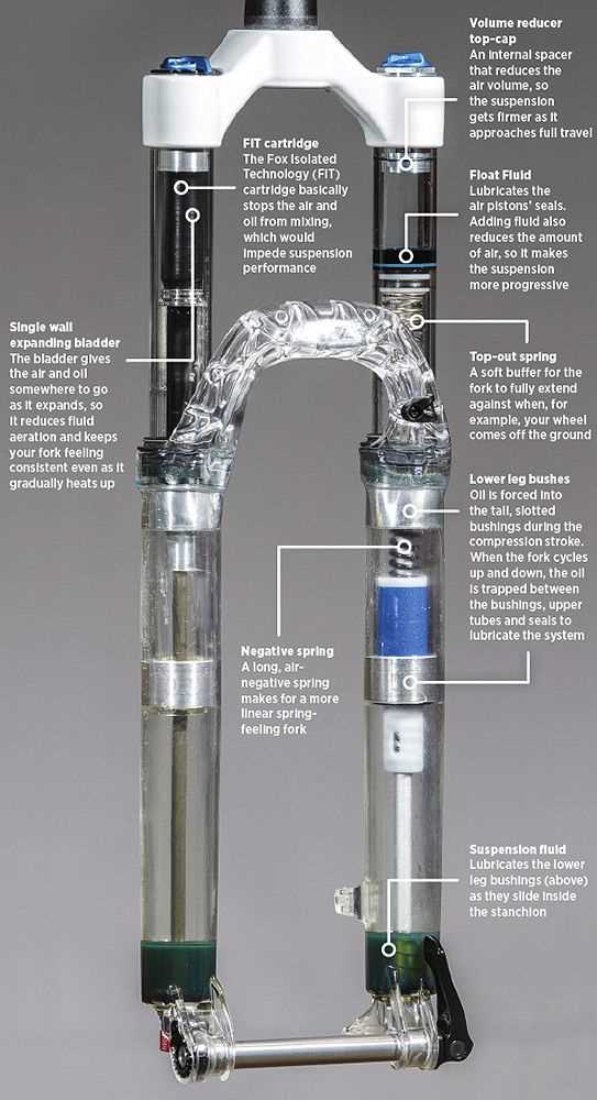 bike fork parts diagram