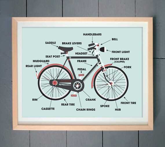 bike frame diagram with labeled parts