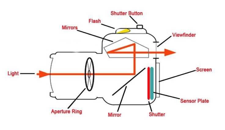 canon camera parts diagram