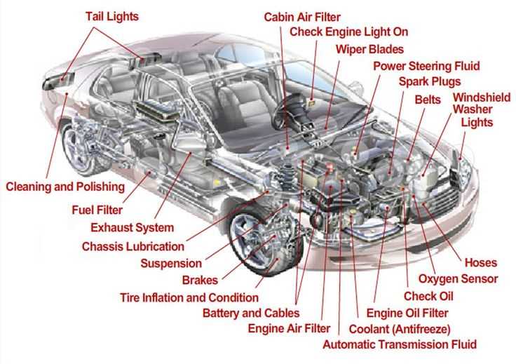 bottom of car parts diagram