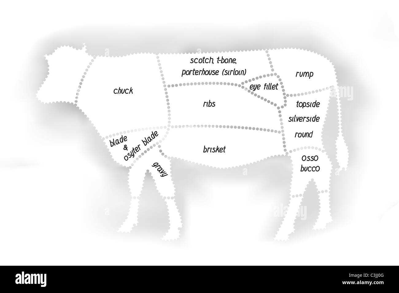 buffalo body parts diagram