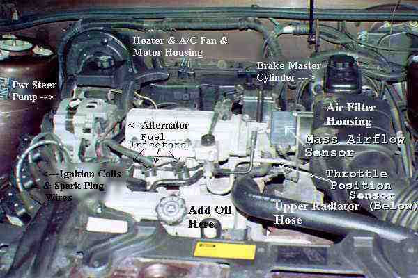 car parts diagram under hood