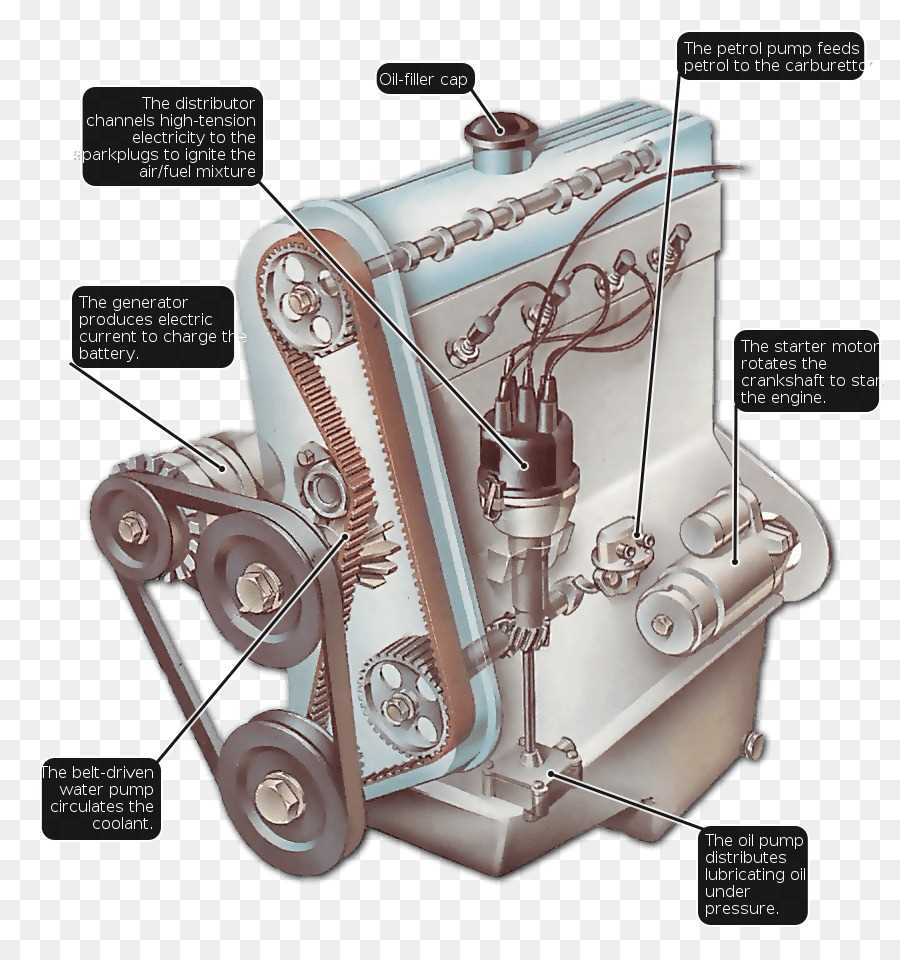 car parts diagram underneath