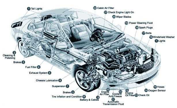 car parts labeled diagram