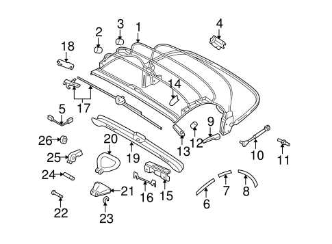 parts of a beetle diagram