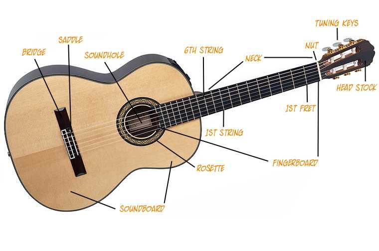 classical guitar parts diagram