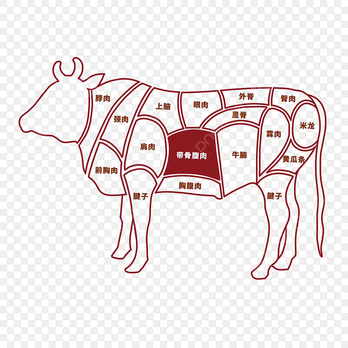 cow parts diagram