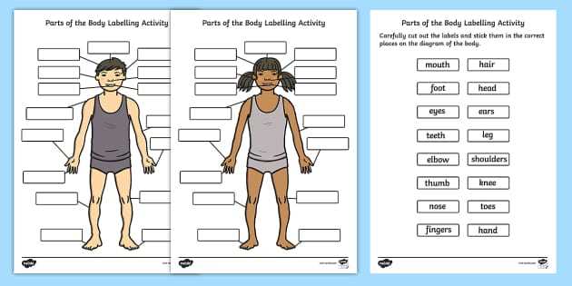 body parts with diagram