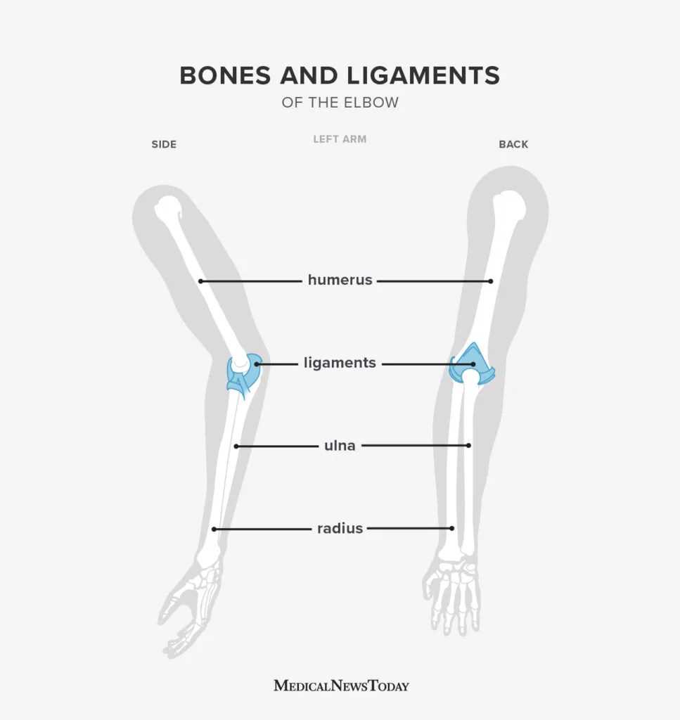 elbow parts diagram