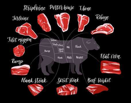 cow meat parts diagram