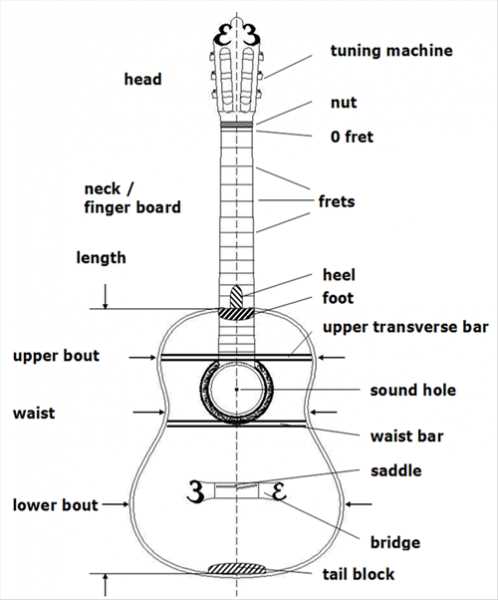 classical guitar parts diagram