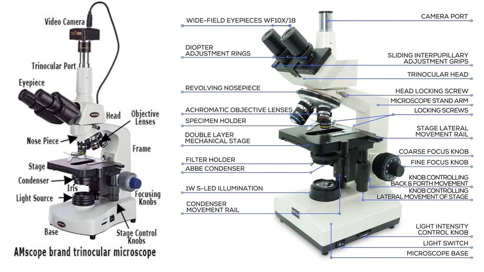 diagram of microscope parts