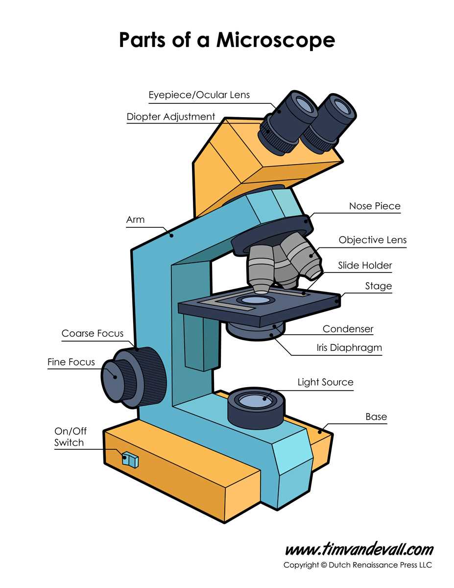 diagram of parts of a microscope