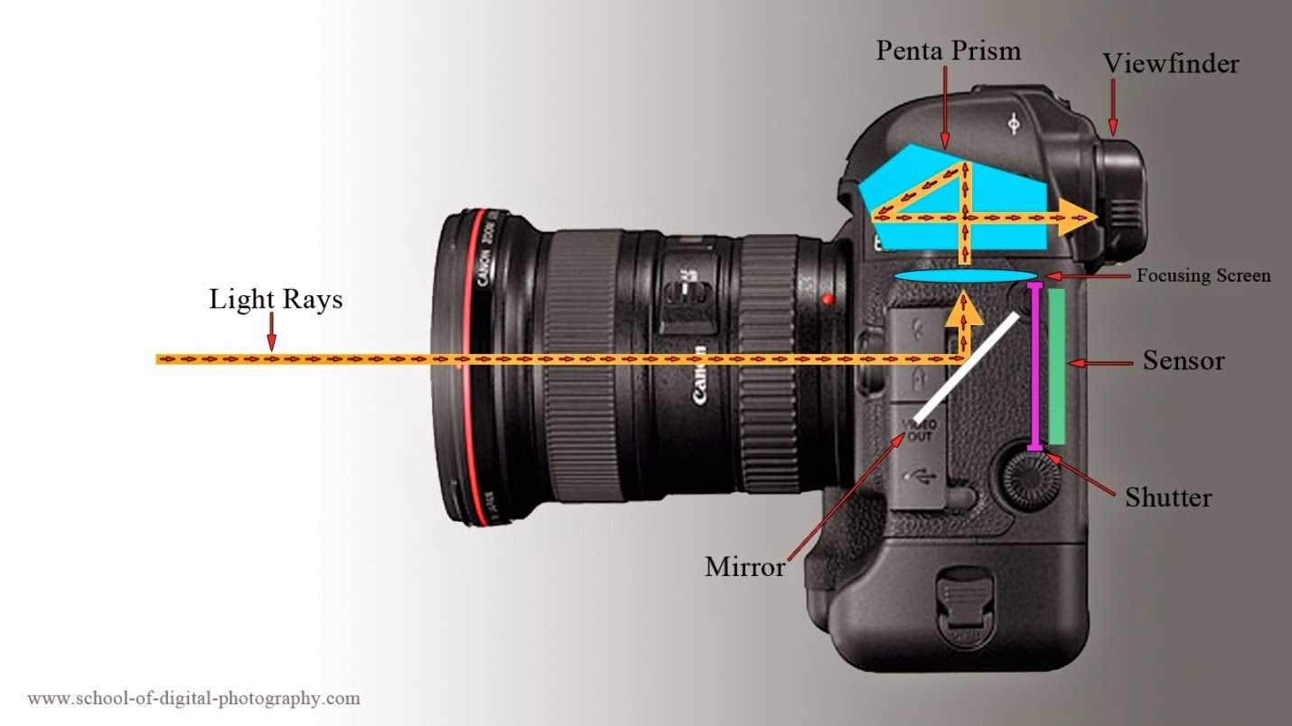 dslr camera parts diagram