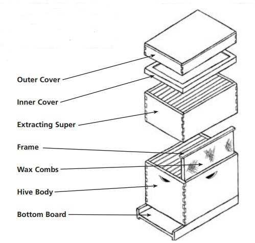 beehive parts diagram