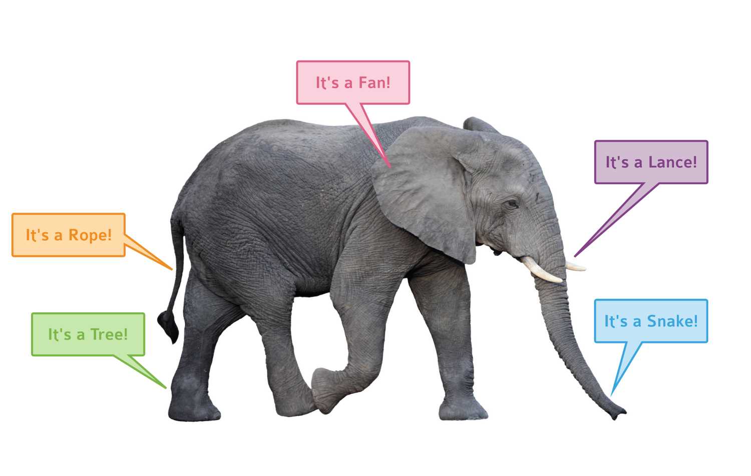 elephant body parts diagram