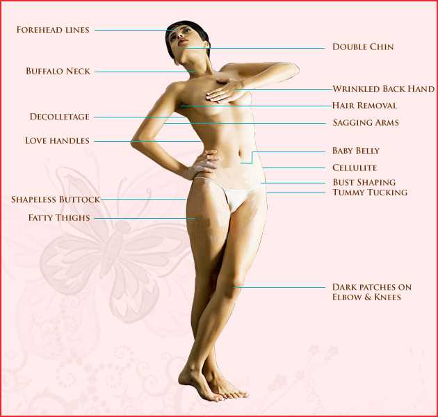 body parts female diagram