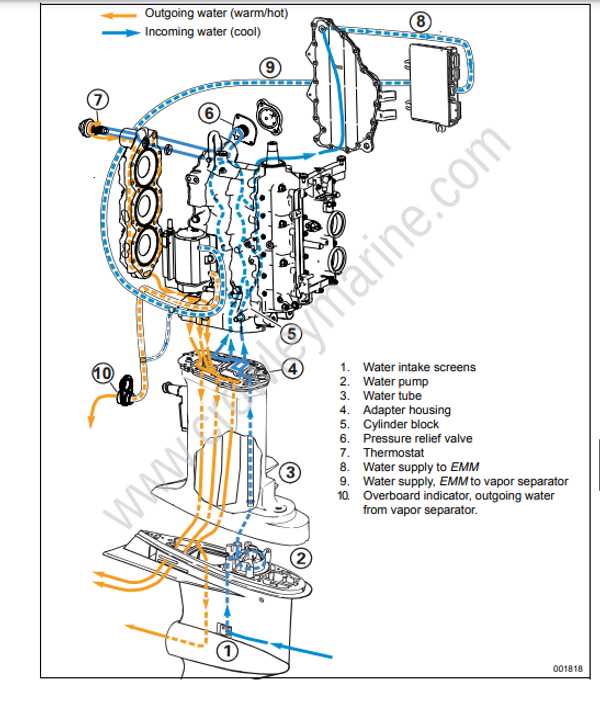 evinrude etec parts diagram