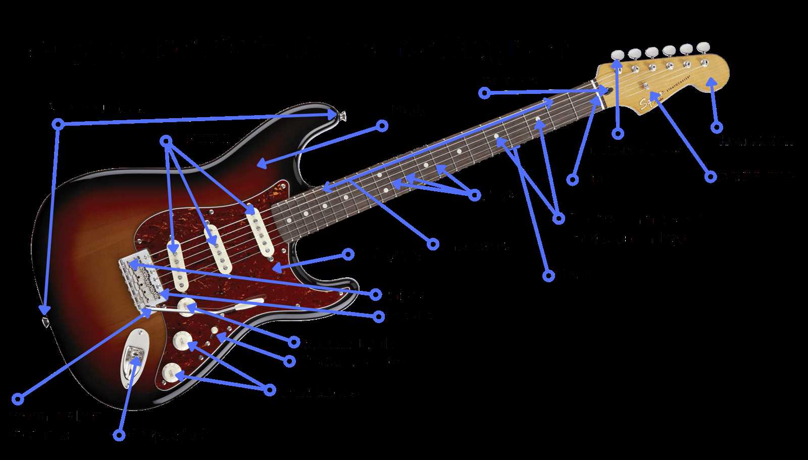 fender strat parts diagram