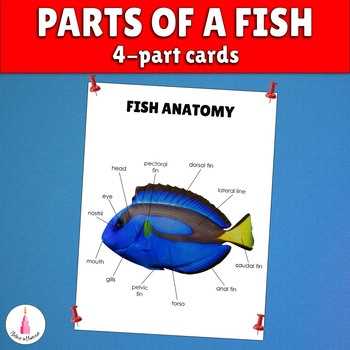 fish diagram and parts