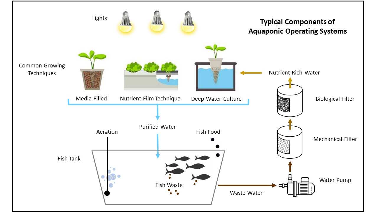 fish tank parts diagram