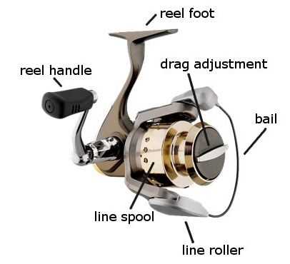 fishing reel parts diagram