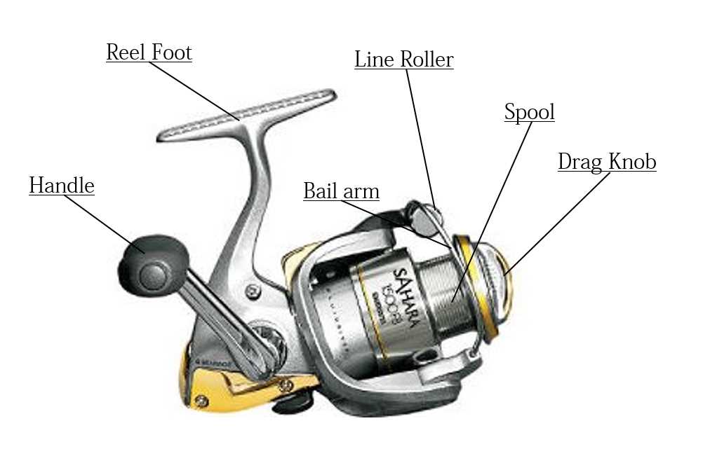 fishing reel parts diagram